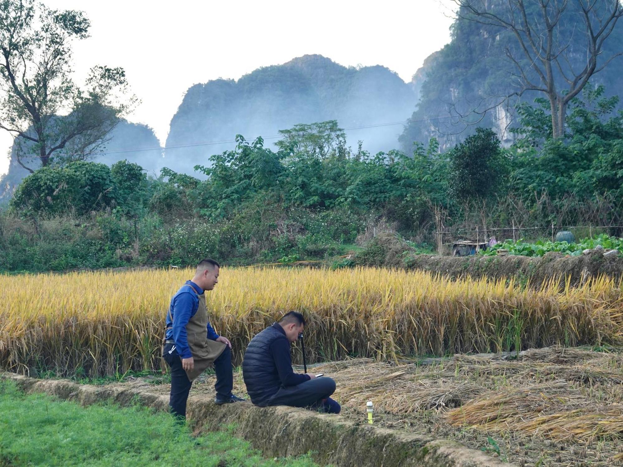 Yangshuo Xiao Long River Hotel Eksteriør billede